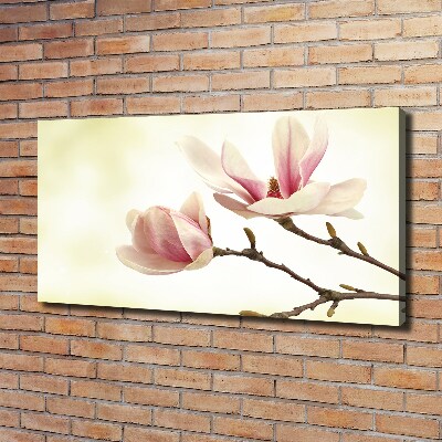 Foto quadro su tela Magnolia