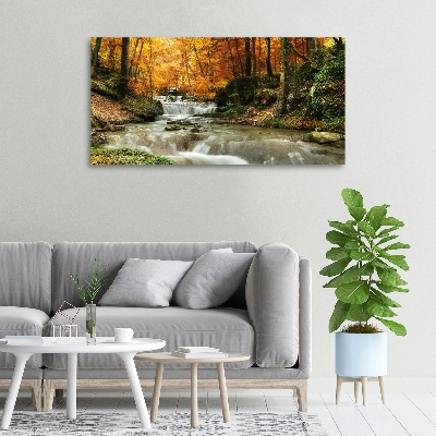 Foto quadro su tela Cascata nella foresta