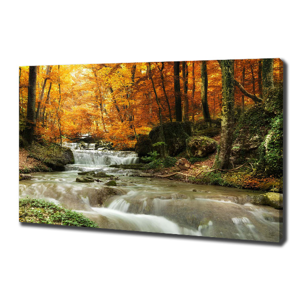 Foto quadro su tela Cascata nella foresta