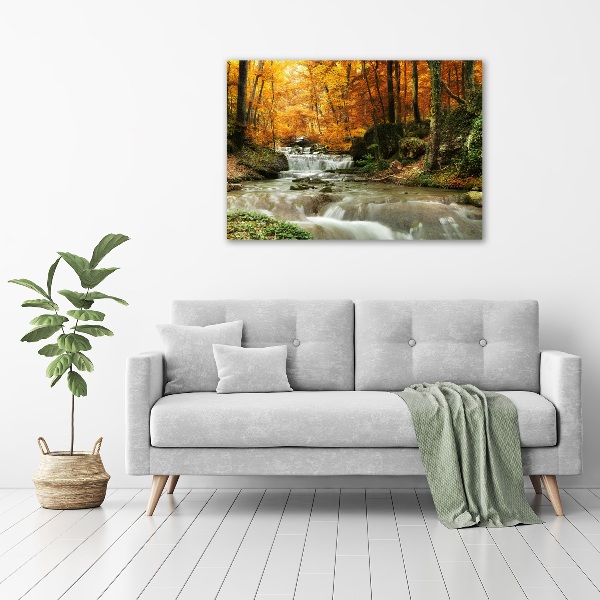Foto quadro su tela Cascata nella foresta