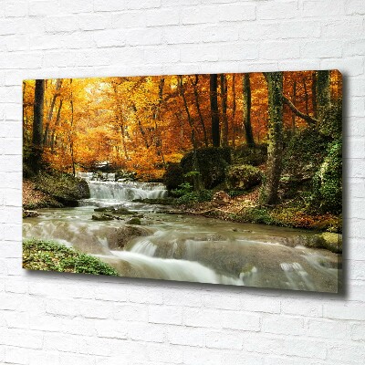 Foto quadro su tela Cascata nella foresta