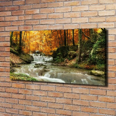 Foto quadro su tela Cascata nella foresta
