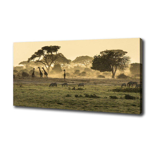 Quadro su tela Giraffe nella savana