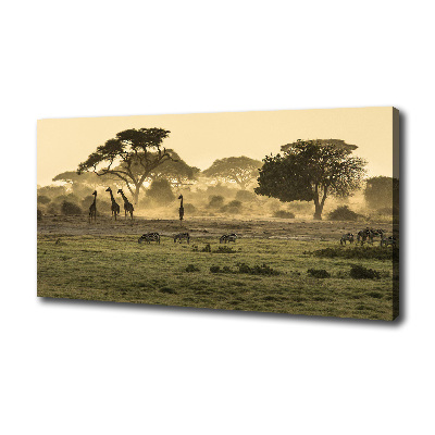 Quadro su tela Giraffe nella savana