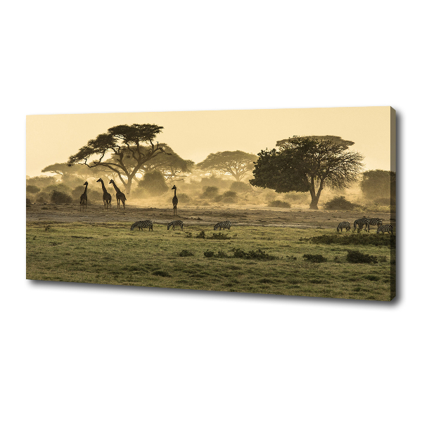 Quadro su tela Giraffe nella savana