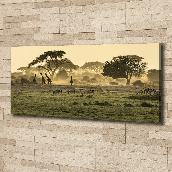 Quadro su tela Giraffe nella savana