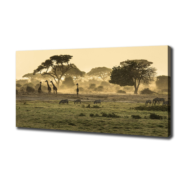 Quadro su tela Giraffe nella savana