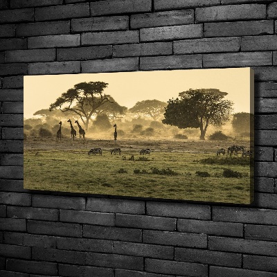 Quadro su tela Giraffe nella savana