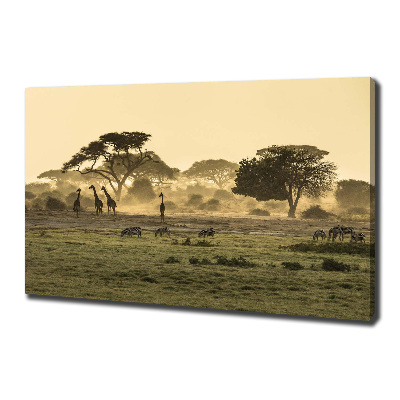 Quadro su tela Giraffe nella savana