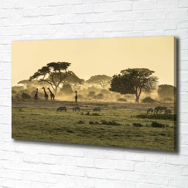 Quadro su tela Giraffe nella savana