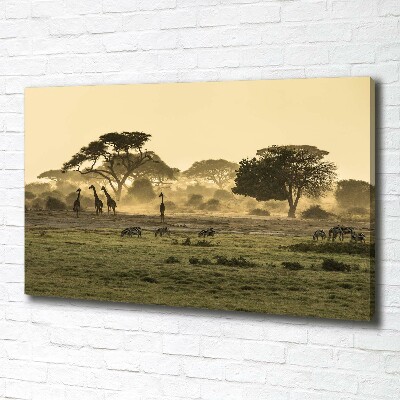 Quadro su tela Giraffe nella savana