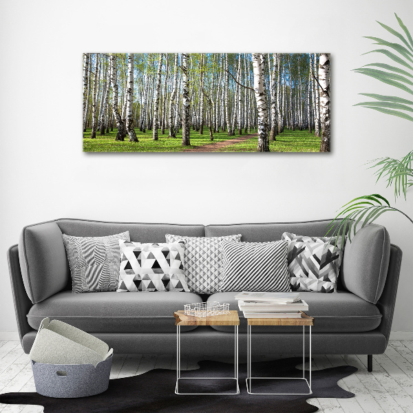Foto quadro su tela Foresta di betulle