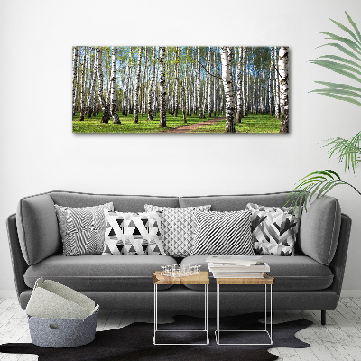 Foto quadro su tela Foresta di betulle