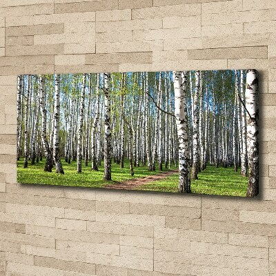 Foto quadro su tela Foresta di betulle