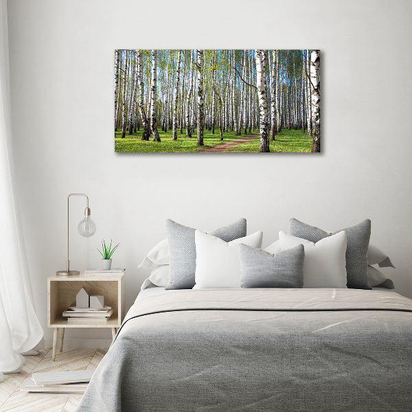 Foto quadro su tela Foresta di betulle
