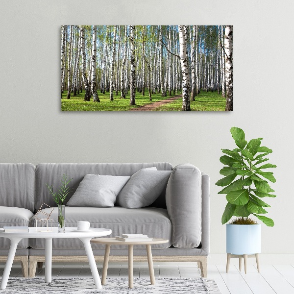 Foto quadro su tela Foresta di betulle