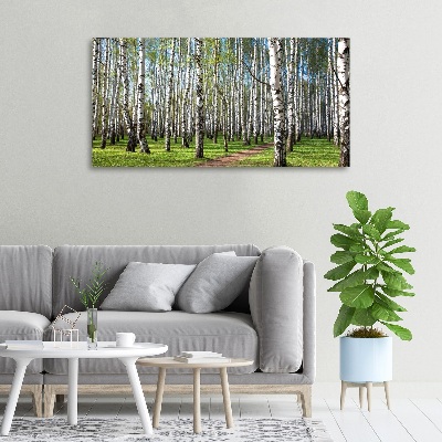 Foto quadro su tela Foresta di betulle