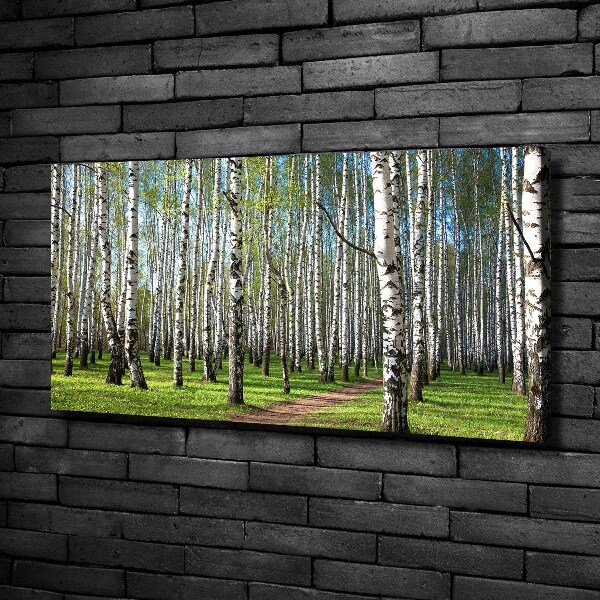 Foto quadro su tela Foresta di betulle