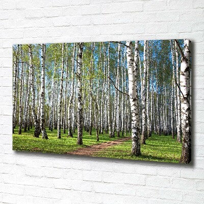 Foto quadro su tela Foresta di betulle
