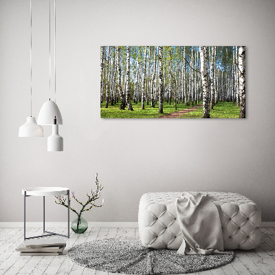 Foto quadro su tela Foresta di betulle