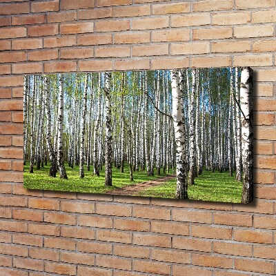 Foto quadro su tela Foresta di betulle