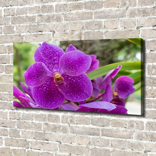Quadro su tela Orchidea