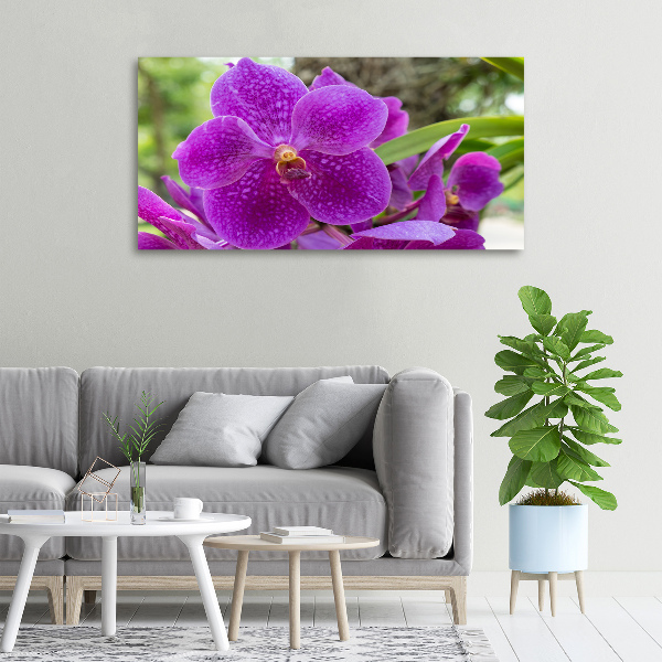 Quadro su tela Orchidea
