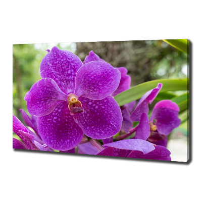 Quadro su tela Orchidea