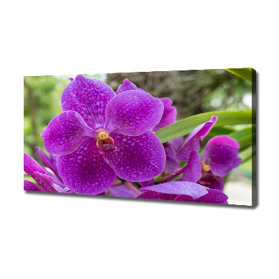 Quadro su tela Orchidea