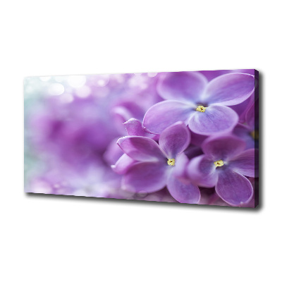 Foto quadro su tela Fiori di lillà