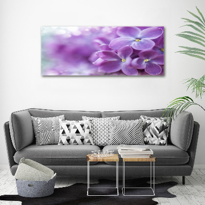Foto quadro su tela Fiori di lillà
