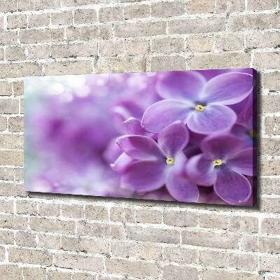 Foto quadro su tela Fiori di lillà