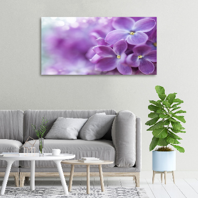 Foto quadro su tela Fiori di lillà
