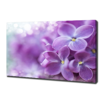 Foto quadro su tela Fiori di lillà