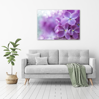 Foto quadro su tela Fiori di lillà