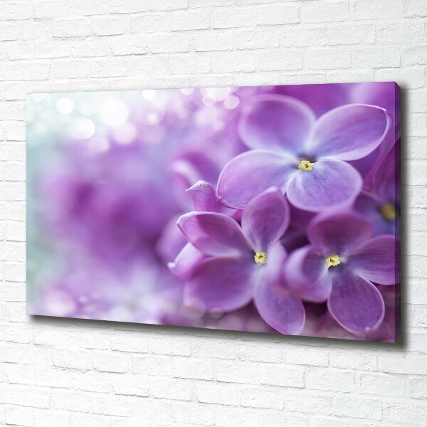 Foto quadro su tela Fiori di lillà
