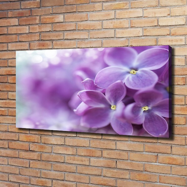 Foto quadro su tela Fiori di lillà