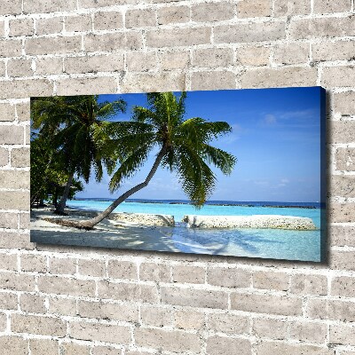 Quadro su tela Spiaggia tropicale
