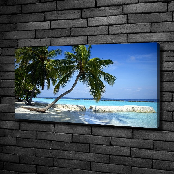 Quadro su tela Spiaggia tropicale