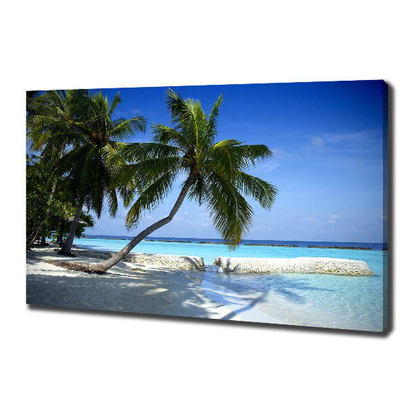 Quadro su tela Spiaggia tropicale