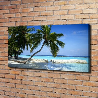 Quadro su tela Spiaggia tropicale