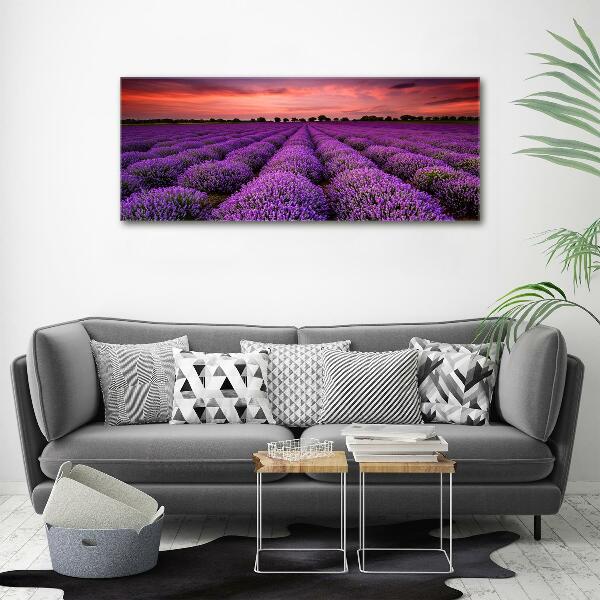 Foto quadro su tela Campo di lavanda