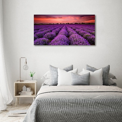 Foto quadro su tela Campo di lavanda