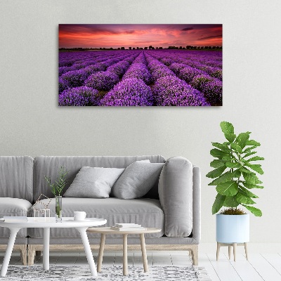 Foto quadro su tela Campo di lavanda