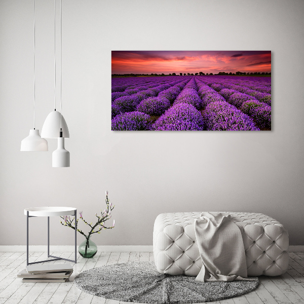Foto quadro su tela Campo di lavanda