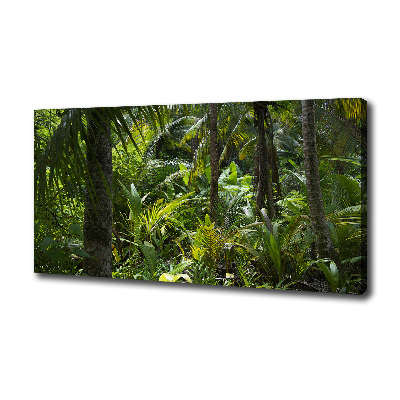 Quadro stampa su tela Foresta tropicale
