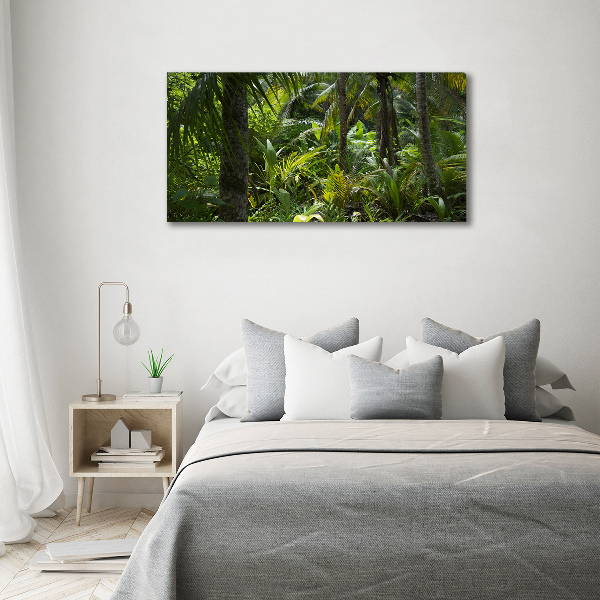 Quadro stampa su tela Foresta tropicale