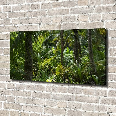 Quadro stampa su tela Foresta tropicale