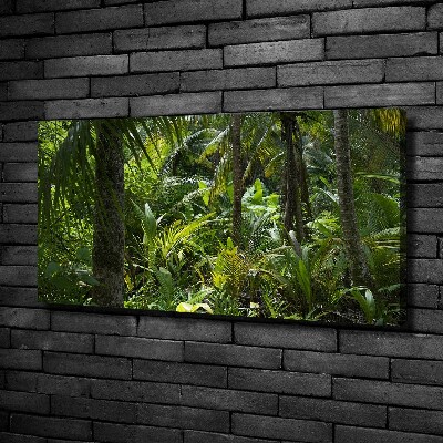 Quadro stampa su tela Foresta tropicale