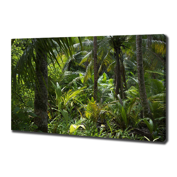 Quadro stampa su tela Foresta tropicale